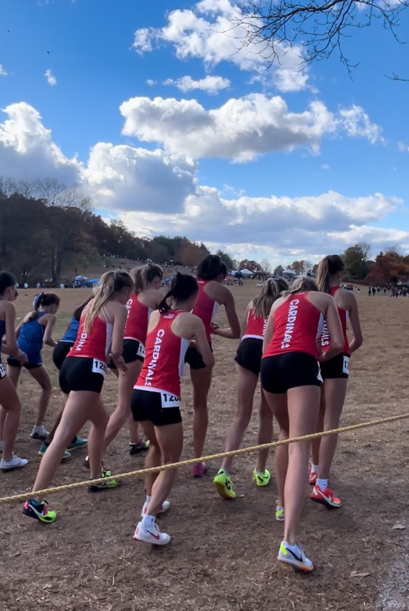 Greenwich High School girls cross country team captures Class LL, FCIAC ...