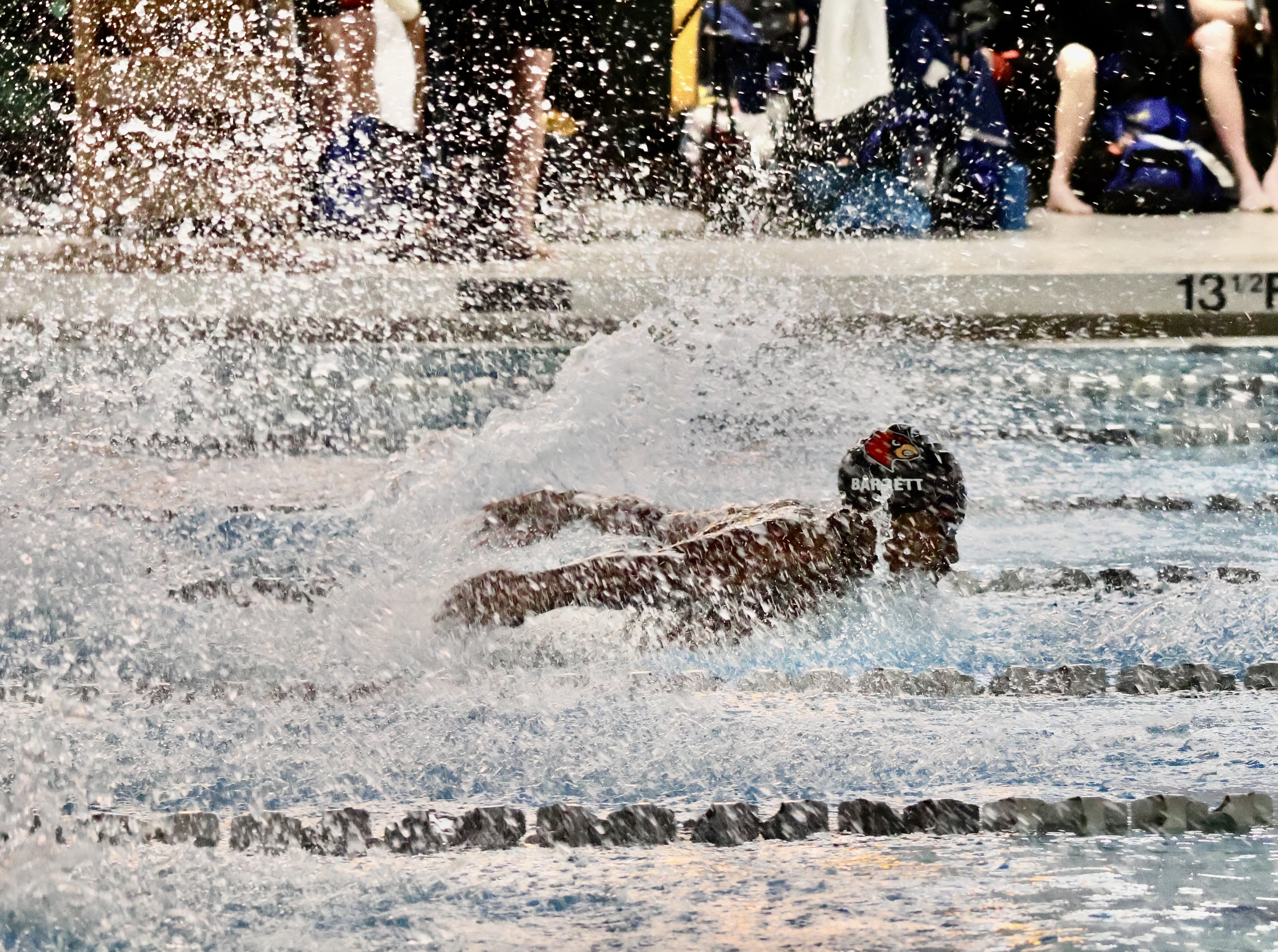 Greenwich High School boys swimming team wins team title at CIAC State ...