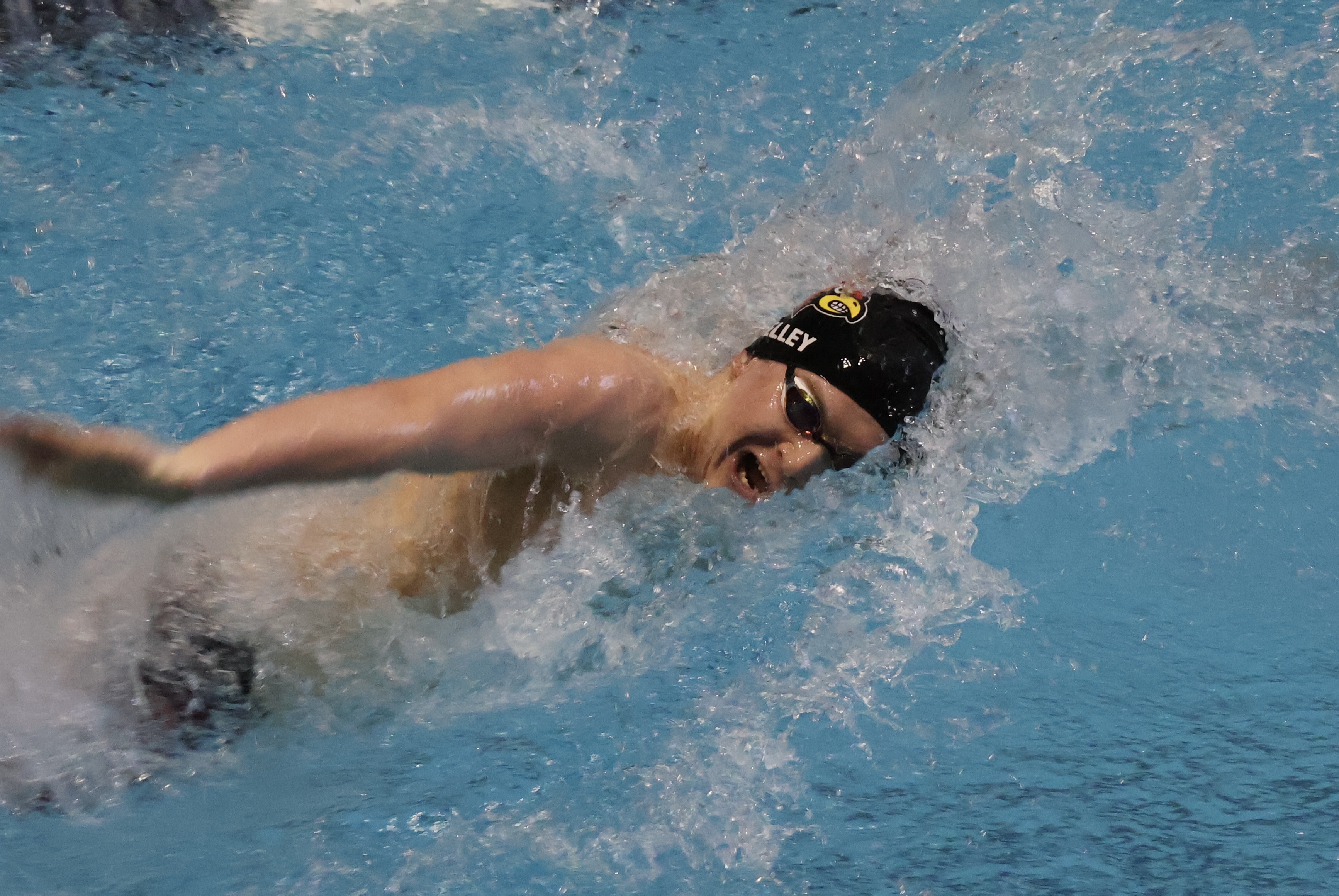 Greenwich High School boys swimming team wins team title at CIAC State ...