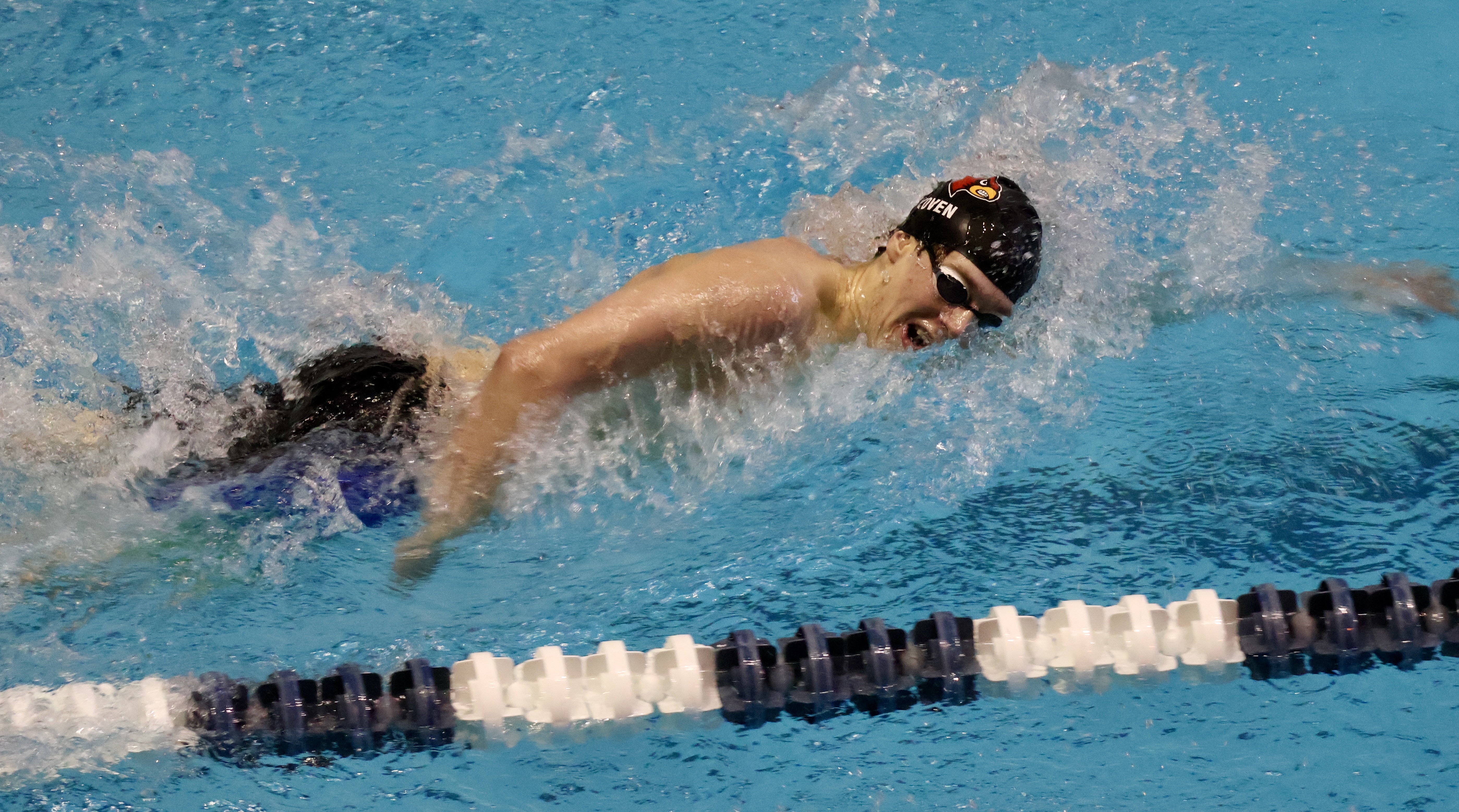 Greenwich High School boys swimming team wins team title at CIAC State ...