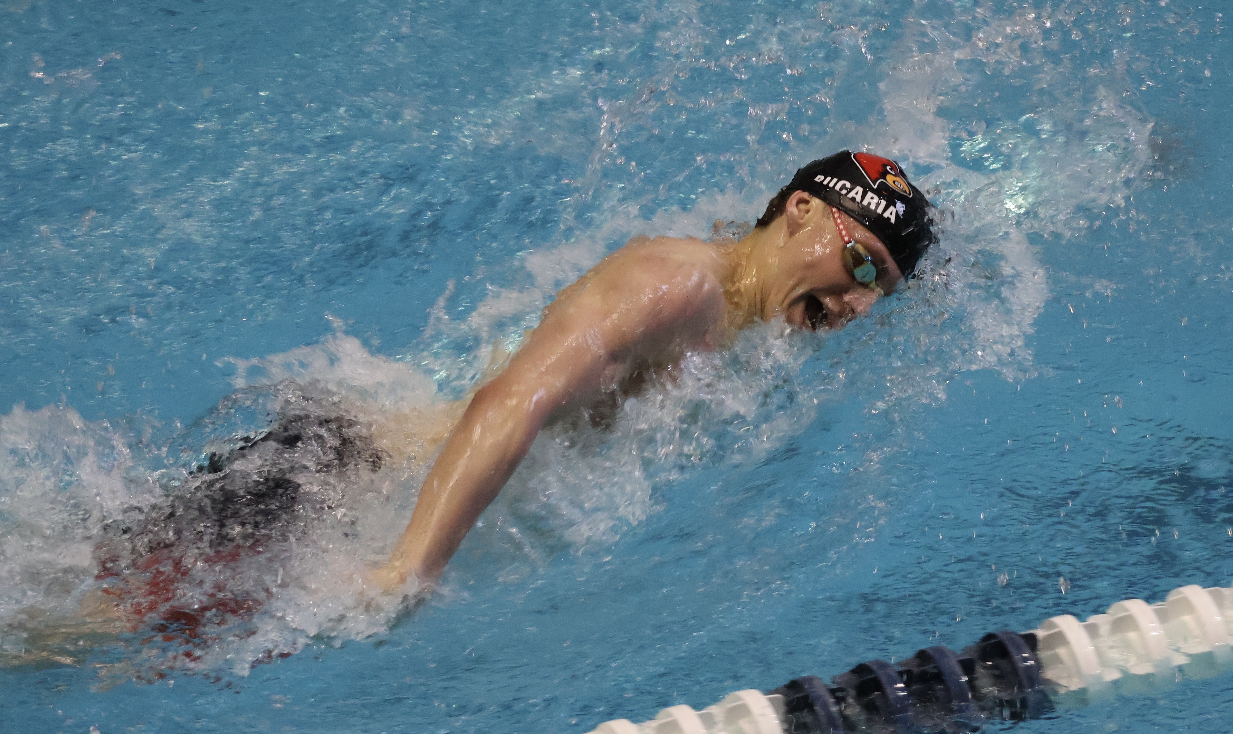 Greenwich High School boys swimming team wins team title at CIAC State ...
